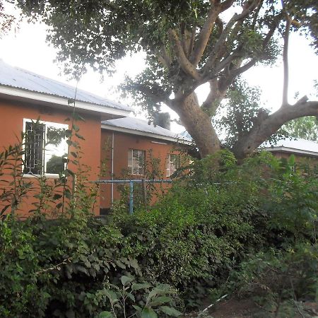Longido Mountain Lodge Exterior photo